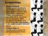 Fizinė kultūra ir astma 12 puslapis