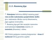 Fizinis pajėgumas 16 puslapis