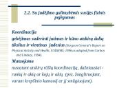 Fizinis pajėgumas 20 puslapis