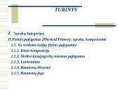 Fizinis pajėgumas 3 puslapis