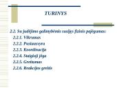 Fizinis pajėgumas 4 puslapis