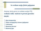 Fizinis pajėgumas 8 puslapis