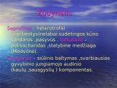 Grybų rūšys 14 puslapis
