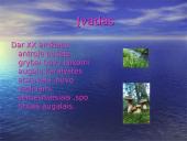 Grybų rūšys 3 puslapis