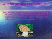 Grybų rūšys 6 puslapis