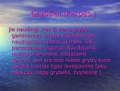 Grybų rūšys 10 puslapis