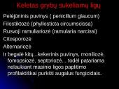Grybinės ligos 11 puslapis