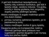 Grybinės ligos 7 puslapis