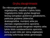 Grybinės ligos 8 puslapis