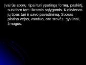 Grybinės ligos 9 puslapis
