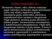 Grybinės ligos 10 puslapis