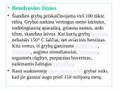 Grybų karalystė 2 puslapis