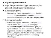 Grybų karalystė 16 puslapis