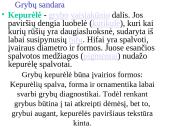 Grybų karalystė 5 puslapis