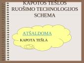 Įvairių tešlų ruošimo technologija 11 puslapis
