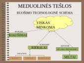 Įvairių tešlų ruošimo technologija 20 puslapis