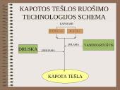 Įvairių tešlų ruošimo technologija 9 puslapis