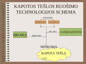 Įvairių tešlų ruošimo technologija 10 puslapis