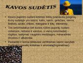 Kava. Kavos sudėtis, poveikis bei rūšys 2 puslapis