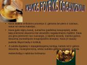 Kava. Kavos sudėtis, poveikis bei rūšys 3 puslapis