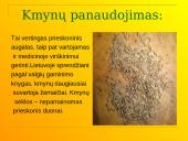 Lietuviški prieskoniniai augalai 8 puslapis
