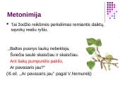 Meninės raiškos priemonės 12 puslapis