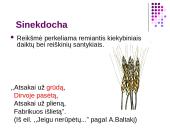 Meninės raiškos priemonės 10 puslapis