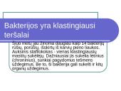 Mikrobiologinė pieno tarša 18 puslapis