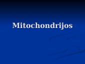 Mitochondrijos