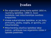 Mitochondrijos 2 puslapis