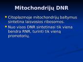 Mitochondrijos 14 puslapis