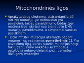 Mitochondrijos 17 puslapis