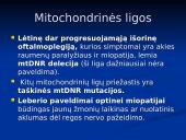 Mitochondrijos 18 puslapis