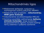 Mitochondrijos 19 puslapis