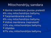 Mitochondrijos 5 puslapis