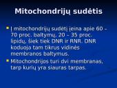Mitochondrijos 9 puslapis