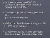 Neigiamoji vandens pusiausvyra. Formos, priežastys ir padariniai 2 puslapis