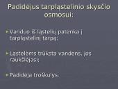 Neigiamoji vandens pusiausvyra. Formos, priežastys ir padariniai 8 puslapis