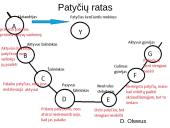 Patyčios mokykloje 11 puslapis