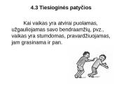 Patyčios mokykloje 16 puslapis