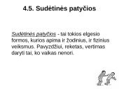 Patyčios mokykloje 18 puslapis