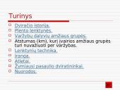 Plento lenktynės 2 puslapis