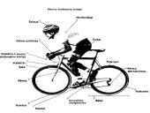 Plento lenktynės 15 puslapis