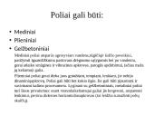 Plonos sienos tipo prieplaukų statiniai. Poliniai prieplaukų statiniai. Specialūs prieplaukų statinių tipai 11 puslapis