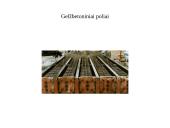 Plonos sienos tipo prieplaukų statiniai. Poliniai prieplaukų statiniai. Specialūs prieplaukų statinių tipai 13 puslapis