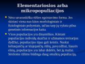 Populiacijų tipai 7 puslapis