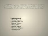 Postmodernizmas ir žymiausi jo atstovai 2 puslapis