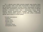 Postmodernizmas ir žymiausi jo atstovai 19 puslapis