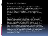 Skaidulinės medžiagos 5 puslapis