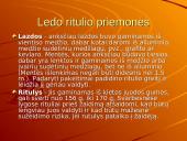 Svarbiausios sporto šakos Lietuvoje 14 puslapis